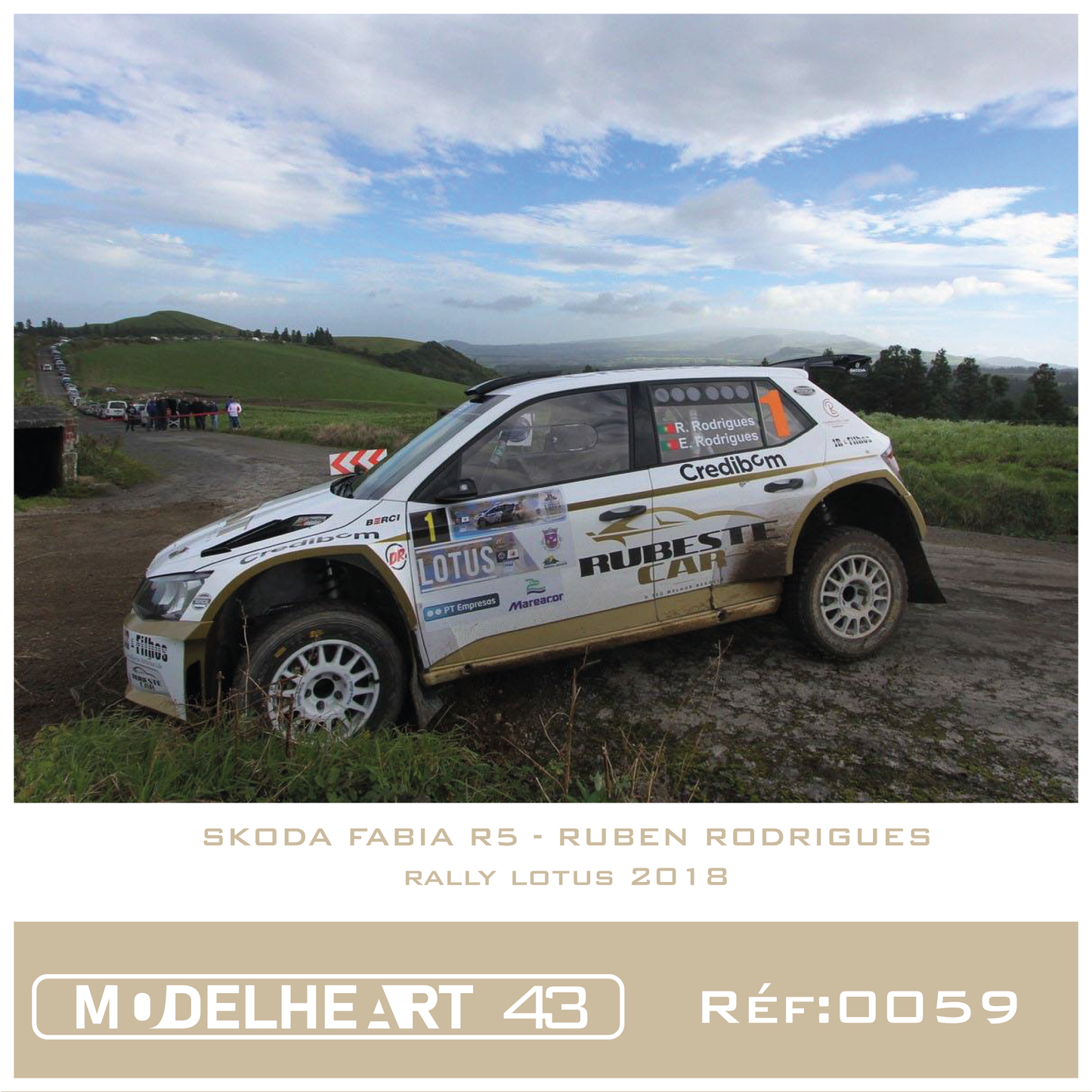 Decalque Skoda Fabia R5 - Ruben Rodrigues