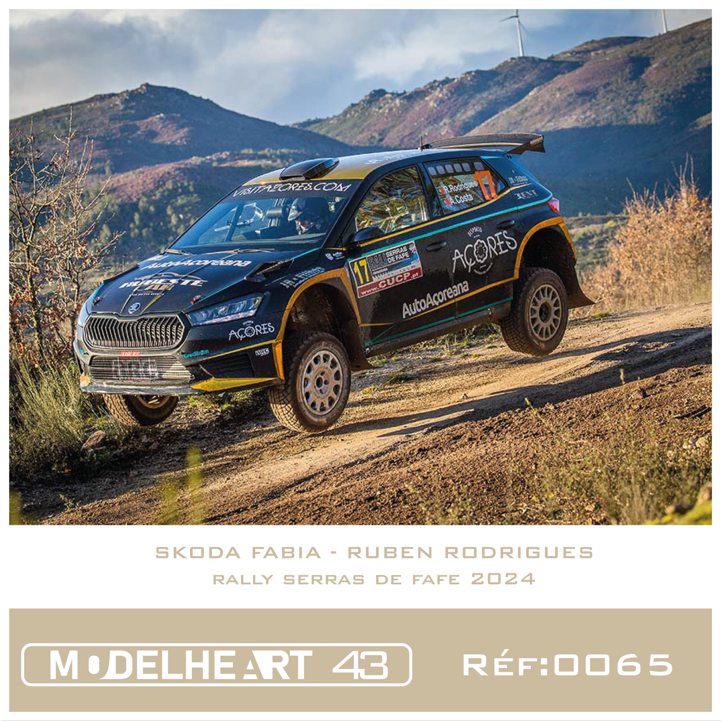 Decalque Skoda Fabia - Ruben Rodrigues