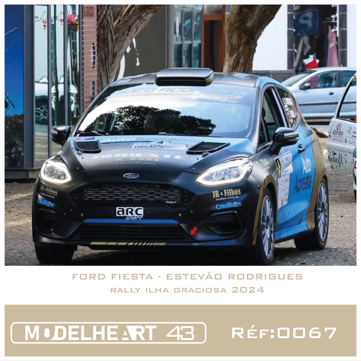 Decalque Ford Fiesta - Estevão Rodrigues