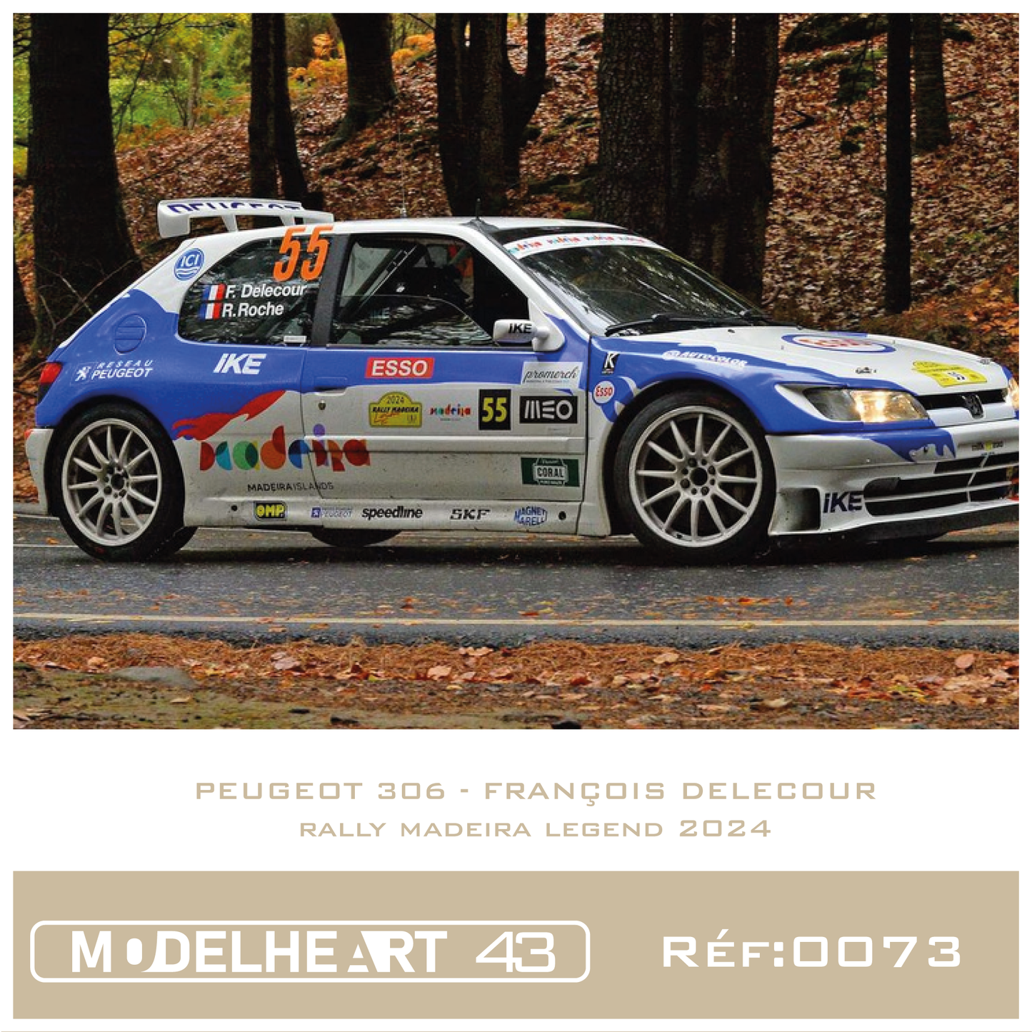 Decalque Peugeout 306 - François Delecour