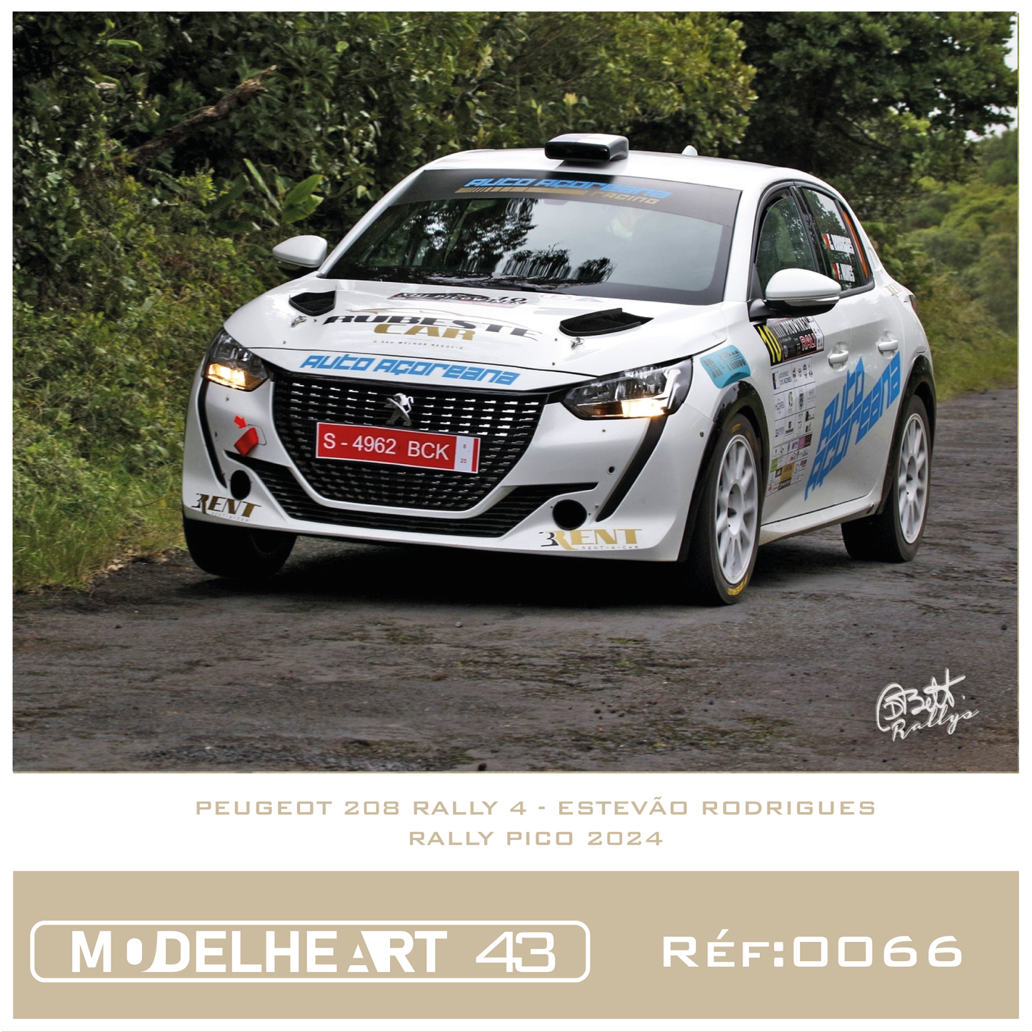Decalque Peugeot 208 - Estevão Rodrigues