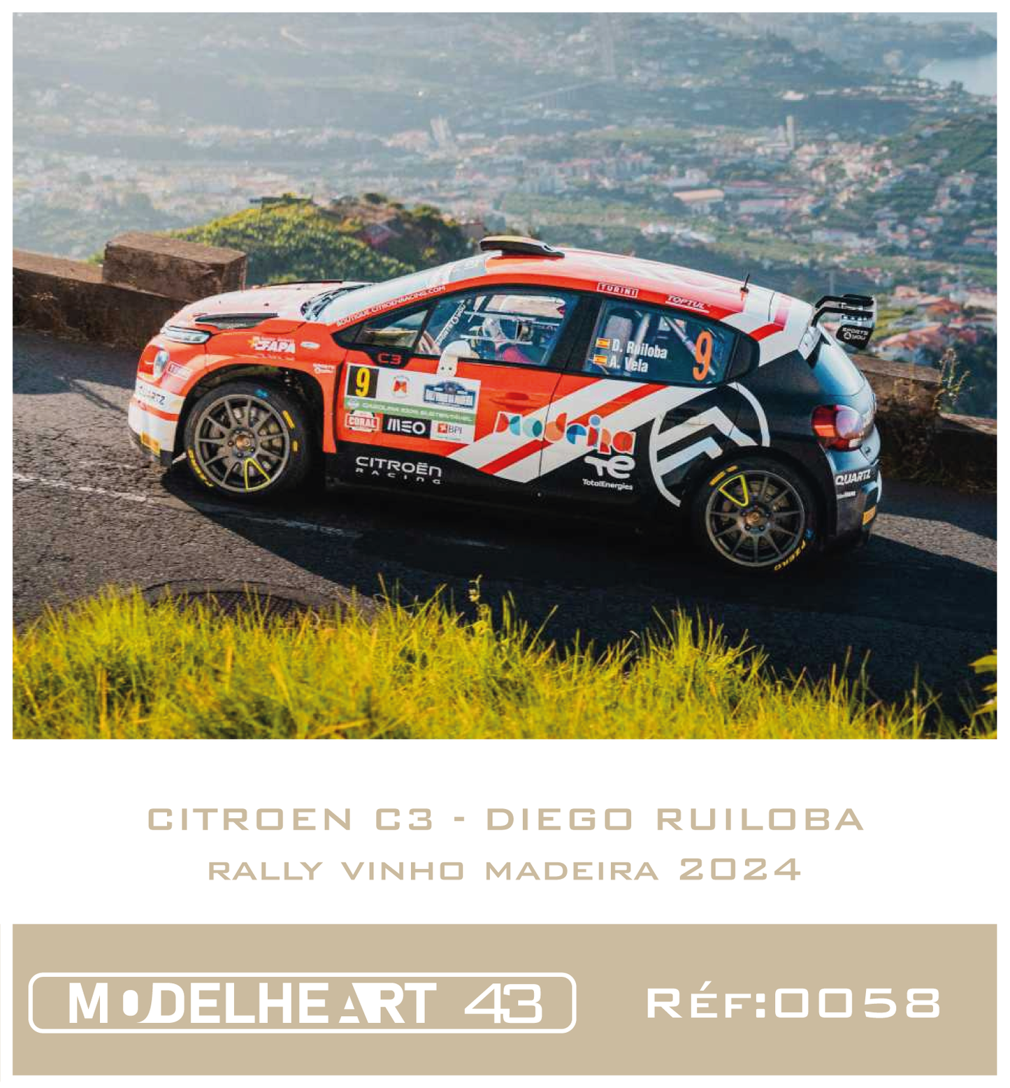 Decalque Citroen C3 - Diego Ruiloba