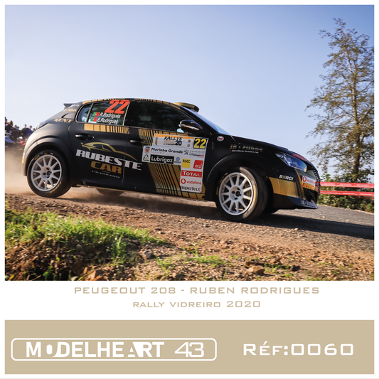 Decalque Peugeout 208 - Ruben Rodrigues